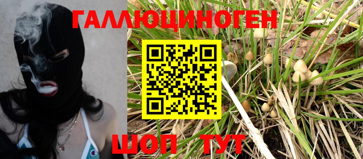 Печора  Псилоцибиновые грибы Magic Shrooms  Вход с VPN 